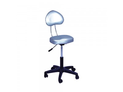 Styling Chair 3926A
